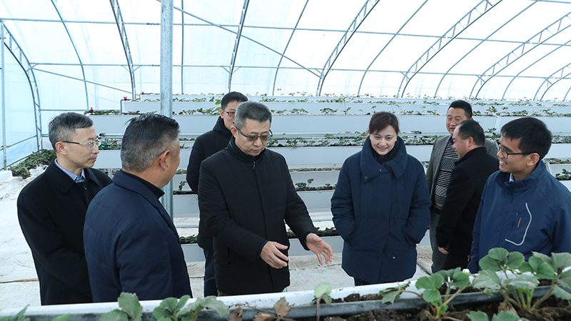 CA88(�й���)Ψһ�ٷ���վ