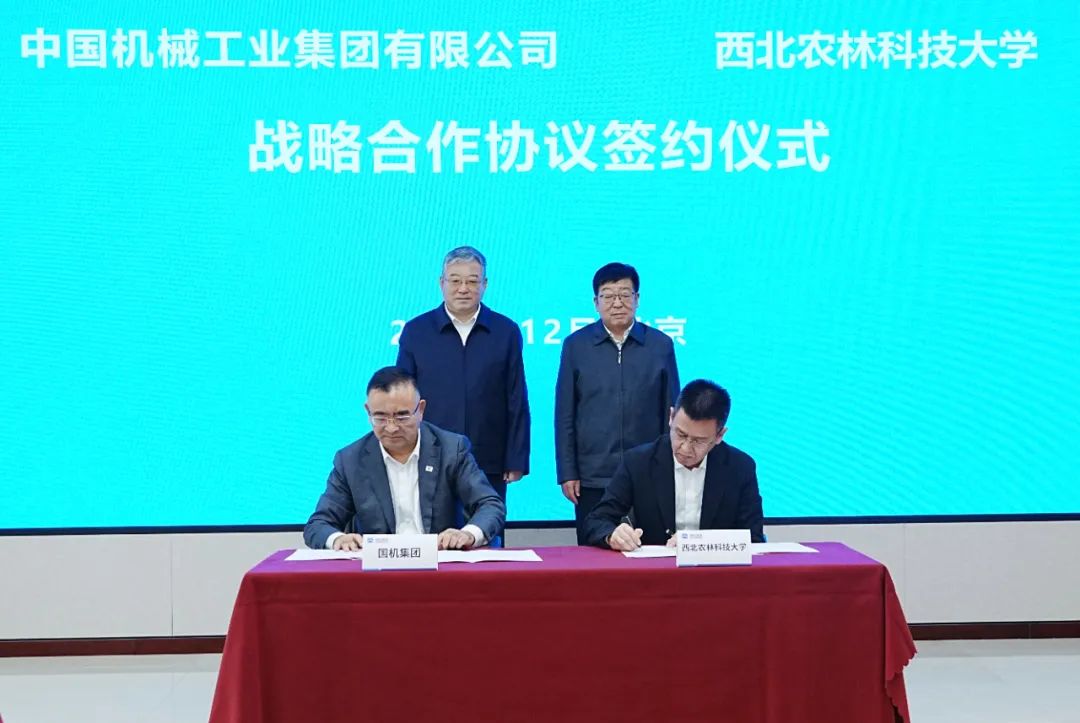 W020250102321499045490 CA88(中国区)唯一官方网站