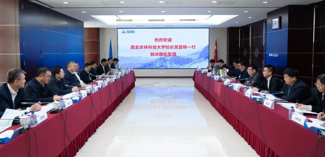 W020250102321499082533 CA88(中国区)唯一官方网站