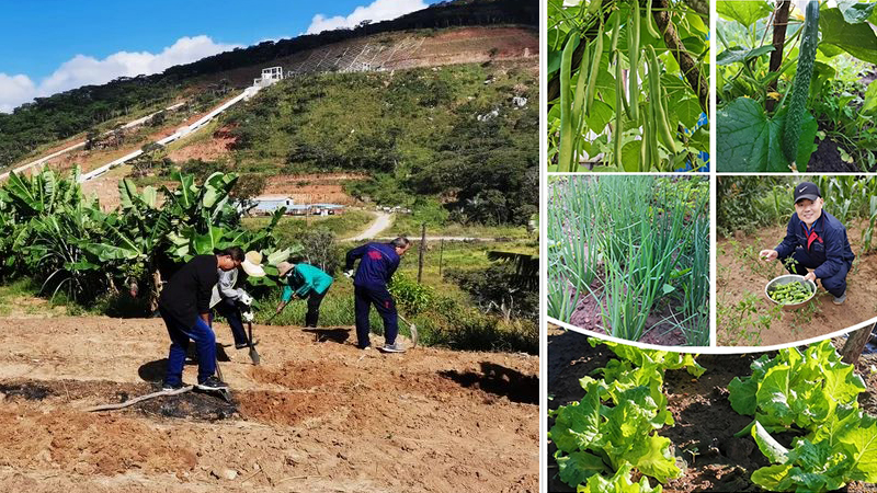 CA88(�й���)Ψһ�ٷ���վ